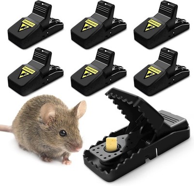 6 Trampas Para Ratas Los Ratones Mata Raton De Control Plagas Trampa Facil USA