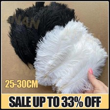 10PCS Pack Large Ostrich