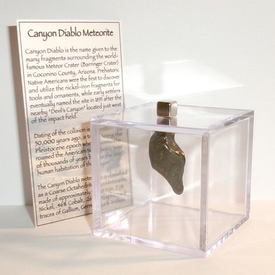 Canyon Diablo Meteorite Famous Arizona Meteor Crater Space Rock w/Display, COA