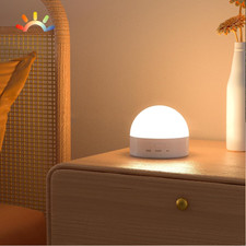 Portable Night Light, Dimmable 8 Color Lighting, 1800Mah Battery Rechargeable, S
