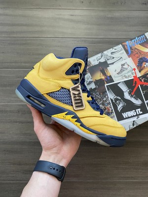 retro 5 michigan