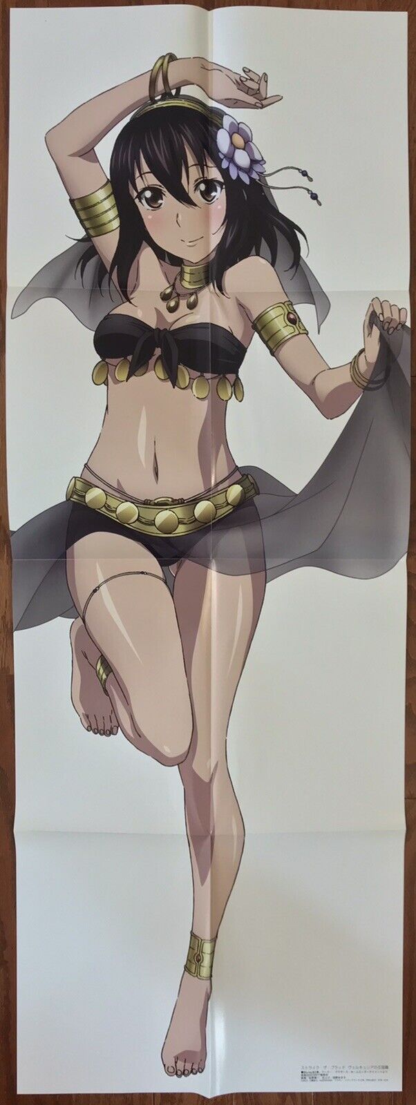 Double Sided Anime Swimsuit Poster: Is the Order a Rabbit Cocoa Strike the  Blood