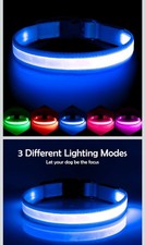 RECHARGEABLE LED Light-up Flash GLOW COLLAR Medium Dog Pet Safety MICRO USB Blue