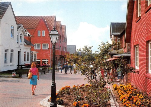 schone nordsee insel amrum germany 