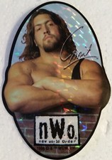 NWO/WCW--GIANT--Wrestling--NEW-- 1998 Prismatic Vending Machine Sticker  97 