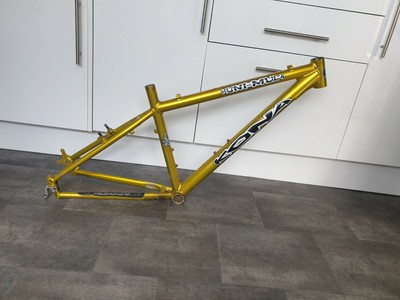 kona muni mula for sale