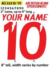 CLUB NECAXA 2018 - 2019 IRON ON heat press transfer numbers for soccer jersey