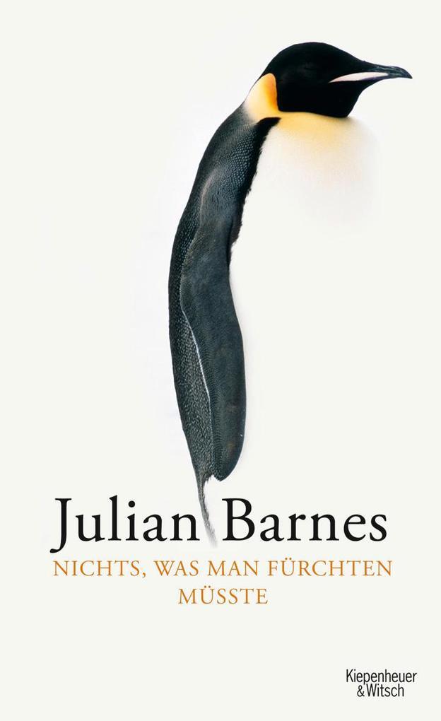 Thumbnail - Nichts, Was Man Fürchten Müsste | Julian Barnes | 2010 | Deutsch