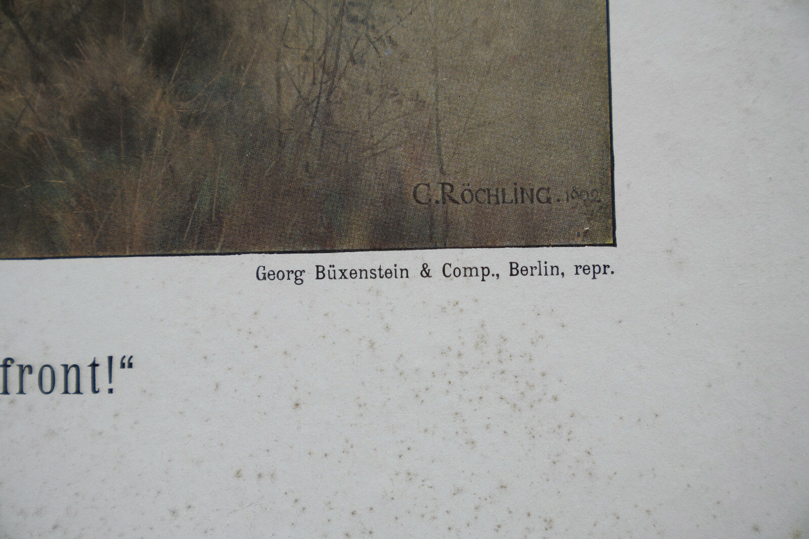 Bild 9 von 11