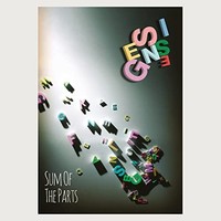 Sum Of The Parts - Dvd - E1111Z