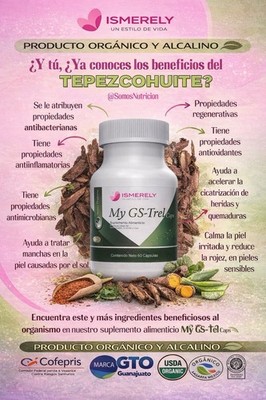Ismerely My GS-Trel Suplemento para la GASTRITIS  Estomago 60 capsulas Pack of 1