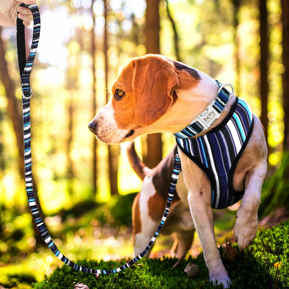 Dog Harness and Leash Set with Personalized Collar Custom Pet Name Soft Mesh XL