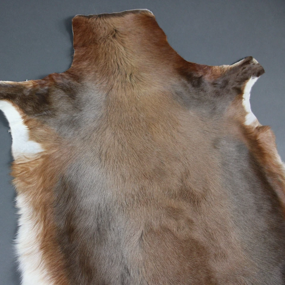 NEW Large Genuine Natural BLESBOK Brown Exotic Hide Rug - Image 2 of 4