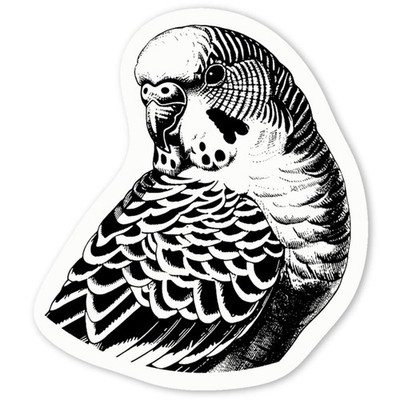 Aufkleber Sticker ''Wellensittich Portrait'' (DW057623)