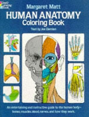 Human Anatomy by Margaret Matt, Joe Ziemian (Paperback, 1982)