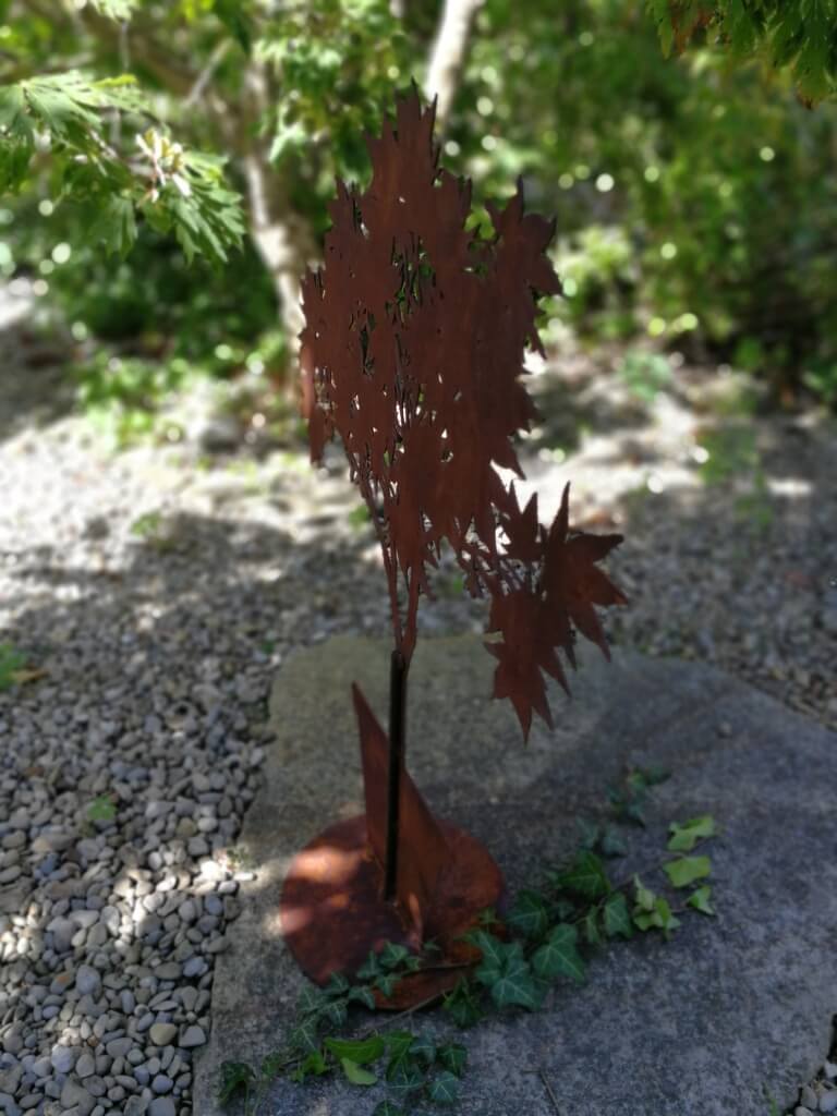 Bild 5 von 5