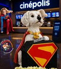 SUPERGIRL Krypto POPCORN BUCKET New MOVIE CINEMA CINEPOLIS MEXICO 2026