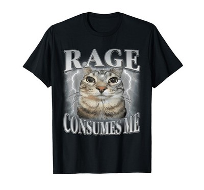 Rage Consumes Me Funny Silly Staring Cat Meme Women Men T-Shirt
