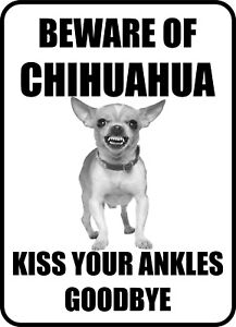 BEWARE CHIHUAHUA GUARD DOG Metal Aluminum Composite Sign
