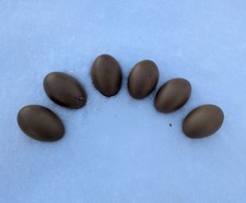 12 Dark Olive Egger Hatching Eggs   Multi-Gen Backcross  Moss/Sage Green Layers