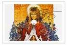DAVID BOWIE Signed Autograph 6x4 PHOTO Signature Gift Print LABRYNTH