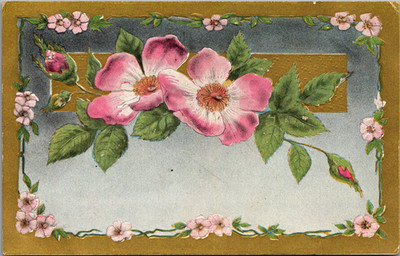 Pink Flowers and Gold Border Embossed Antique Postcard