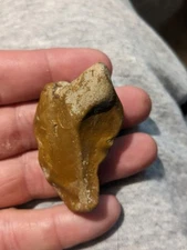 Native American  Artifacts Bear 