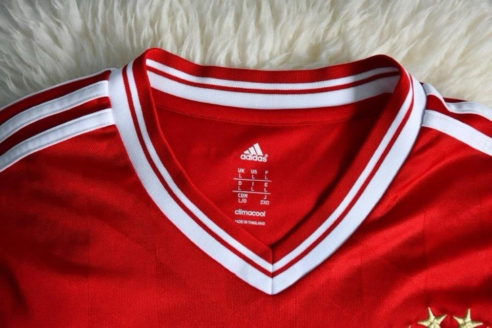 Adidas Trikot Bayern München FCB 2013 Champions League Sieg True Red Gr. L - Bild 3 von 4