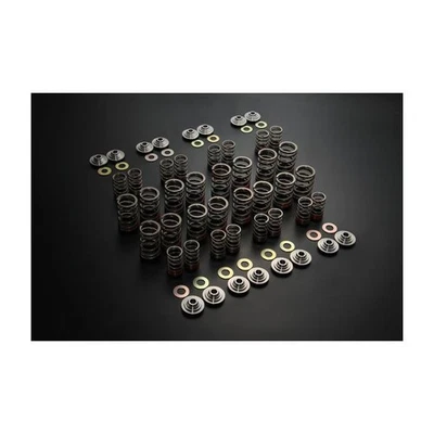 Tomei Valve Springs Type-B For Nissan Silvia S13 180SX S14 200SX S15 SR20DET - Image 1 of 4