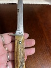 Vtg Case XX USA 5 Finn Fixed Blade Hunting/Fishing Knife. Stag handle No sheath  — photo 4