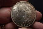 1921-P Morgan Silver Dollar  Well struck and lustrous  Looks UNC