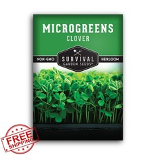 Clover Microgreen Seeds Red Clover Heirloom Non-GMO Sprouting Garden Pack
