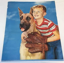1950's poster ~ BOY WITH GREAT DANE AND BASEBALL GLOVE ~ 22x45.5