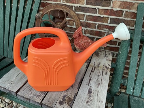 Vintage Watering Can 2 Gallon Plastic With Sprinkler Nozzle - Picture 5 of 9