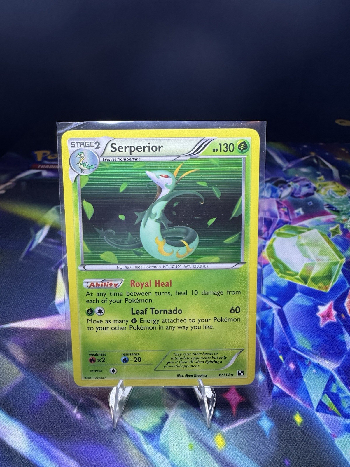 Pokémon TCG Serperior Holo Rare 6/114 – Black & White Base Set 