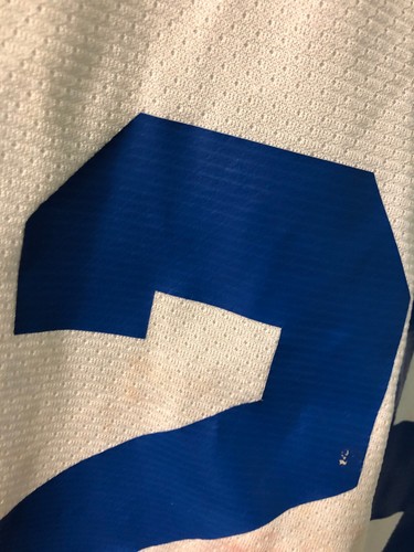 MAGLIA HOCKEY SU GHIACCIO USATA AK PERSONALIZZATA TAGLIO PORTIERE ST. LOUIS BLUES EDDIE 29 BIANCA - Foto 14 di 16
