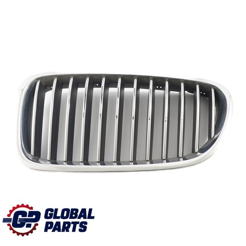Kühlergrill BMW X6 E71 X5 E70 Frontstoßstange Kühlergrill Vorne Links Niere