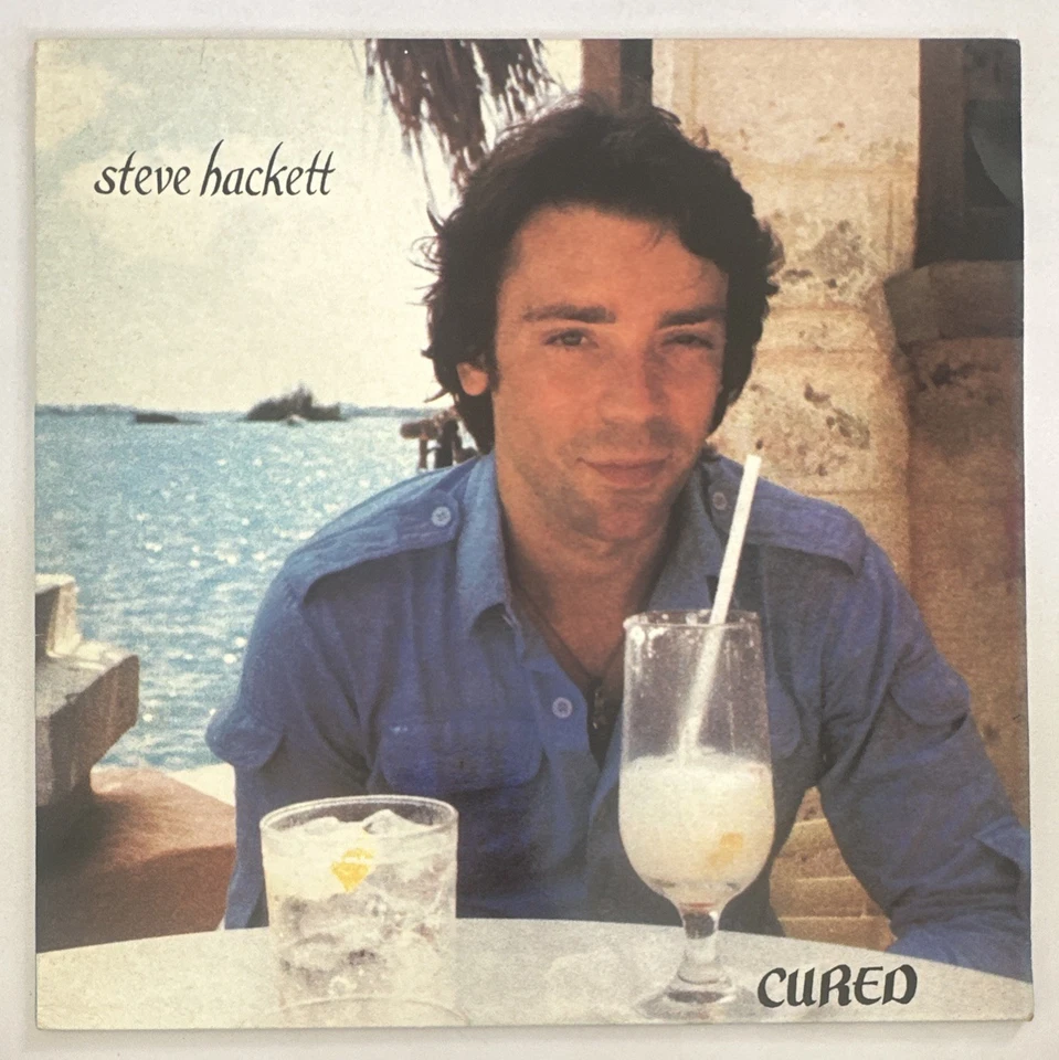 Steve Hackett - Cured Vinyl Lp Record Prog Rock EX / EX CON - Image 2 of 4