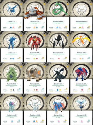 Pokemon (XXL  - XXS) size - Background Go Fest 2026 -Tr.a.d.e 20k or P.T.C