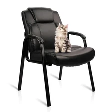 CLATINA Big & Tall 500 lb. Guest Chair with Padded Arm Rest for Waiting Room