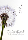 Danksagung Trauer Karte Danke Trauerkarte Dankeskarten Pusteblume Anteilnahme