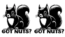 Got Nuts? Squirrel Two Black Vinyl Decal Car Truck Window Laptop Tablet Notebook