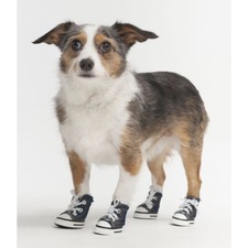 SPARKLE CANVAS SNEAKER DENIM MED Denim