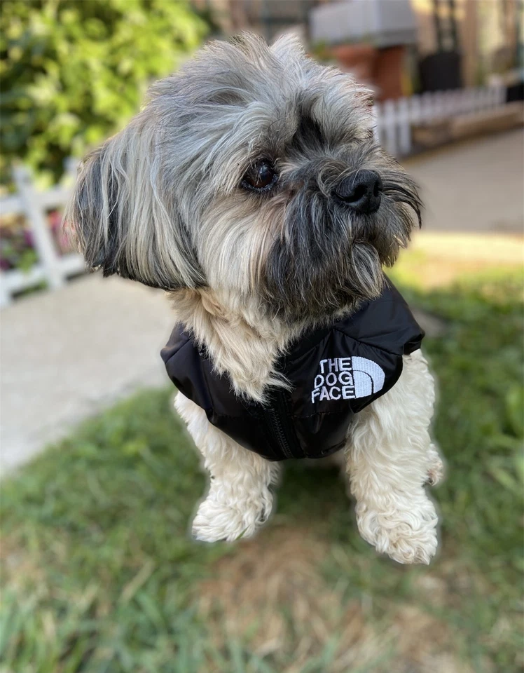 High Quality Dog vest jacket- Warm Waterproof Pet Vest- size S-3XL - Image 4 of 4