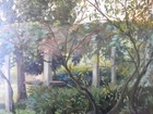 Foto 13 di 17