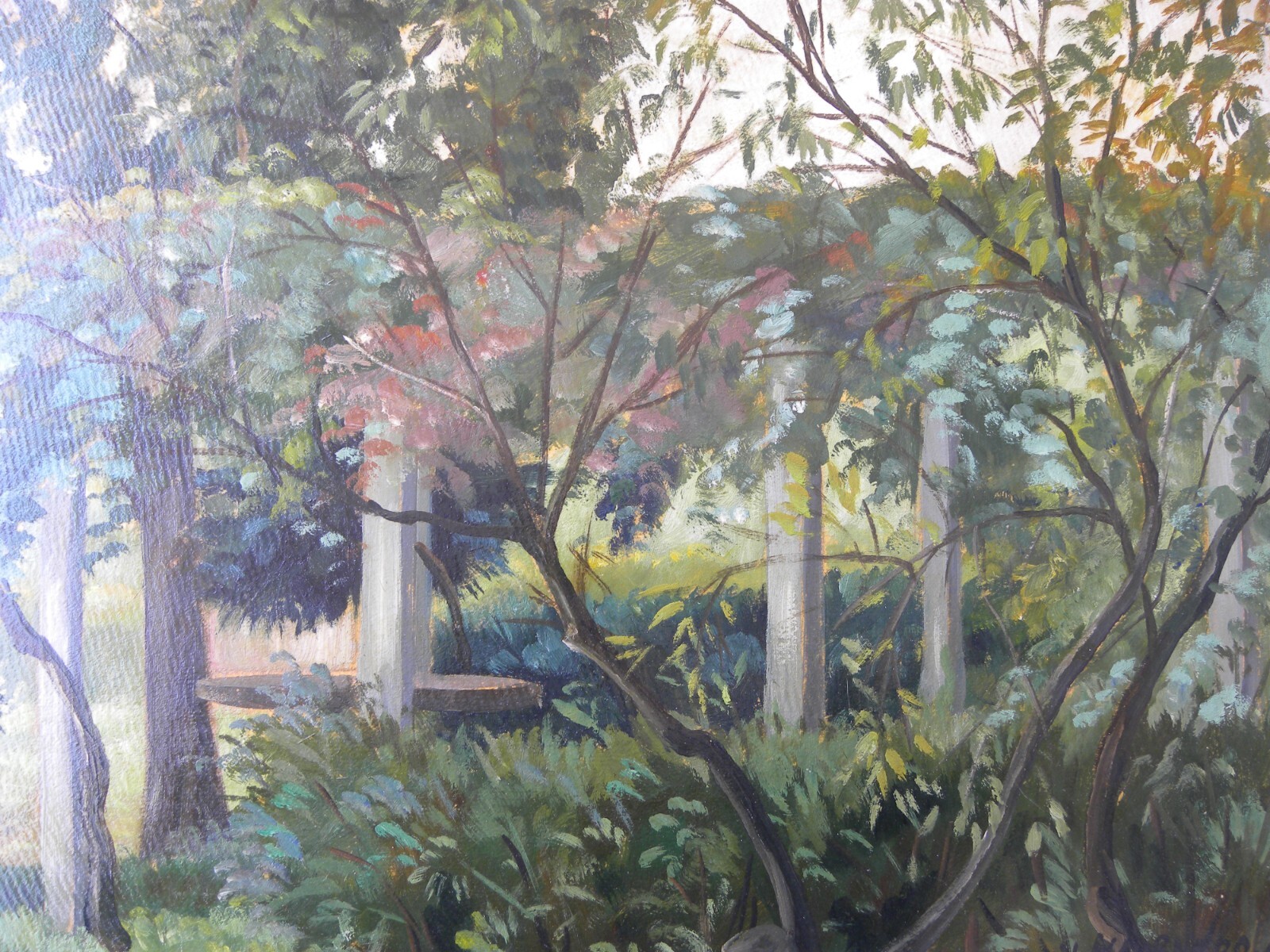 Foto 13 di 17