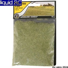 Woodland Scenics FS619 Static Grass Light Green 4mm