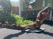 MOUNTED MOPANI WOOD AQUARIUMS FISH RIPTILES DECORATION PET SUPPLIES ART GARDEN