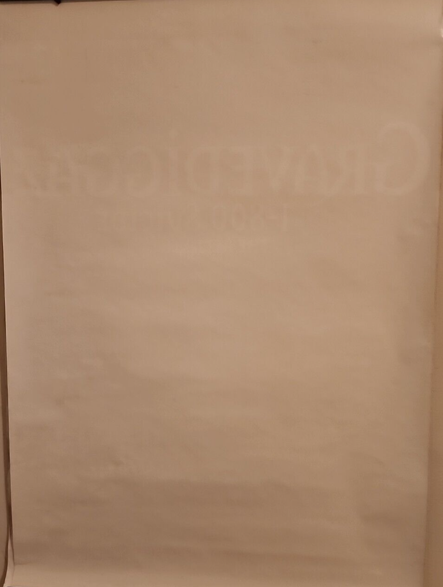 【非売品】 早い者勝ち みちきんぐ 描き下ろし A2 超特大 クリアポスター GRAVEDIGGAZ POSTER 1995 24X36 RARE, HARD TO FIND PRINCE PAUL