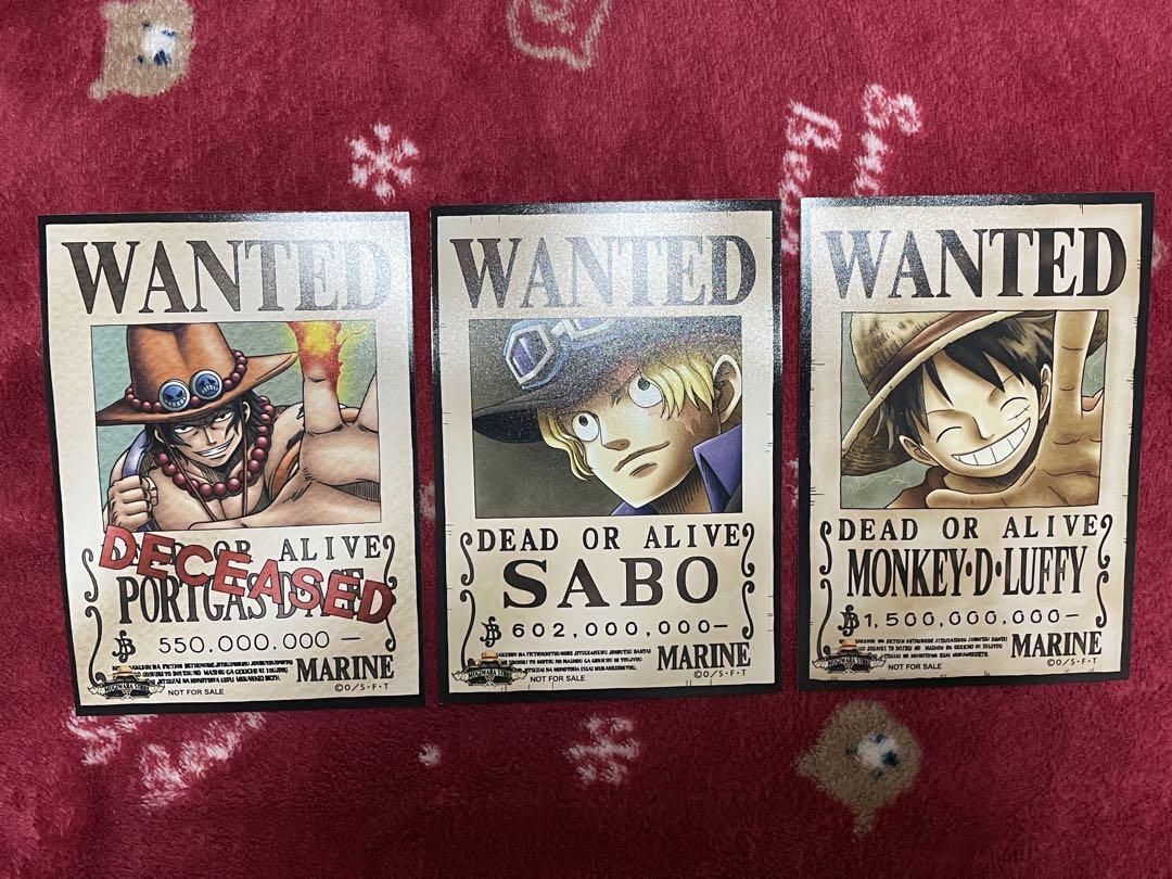 Ace, Sabo, and Luffy  Ace and luffy, One piece manga, Ace sabo luffy